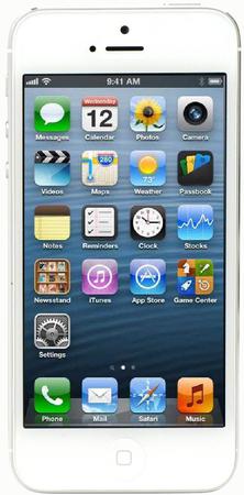 Смартфон Apple iPhone 5 32Gb White & Silver - Луга