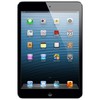 Apple iPad mini 64Gb Wi-Fi черный - Луга