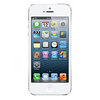 Apple iPhone 5 16Gb white - Луга