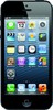 Apple iPhone 5 32GB - Луга